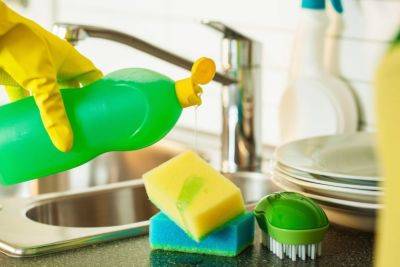 Названы 7 вещей, которые нельзя мыть средствами для мытья посуды — вы будете удивлены - nashsovetik.ru
