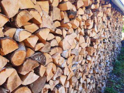 Тимур Хомичев - Какие дрова для печки самые экономные, жаркие и не забивают дымоход: помните это всегда - belnovosti.by