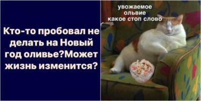 Как долго можно доедать новогодние салаты? - porosenka.net