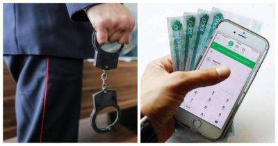 Чиновники предупредили россиян о том, что перевод на незнакомый номер может привести к уголовной статье - porosenka.net - Россия - Московская обл.
