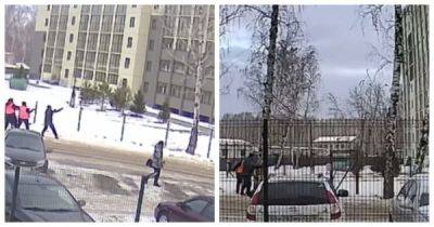 В Челябинске коммунальщики попытались спилить дерево и повалили его на припаркованные автомобили - porosenka.net - Челябинск