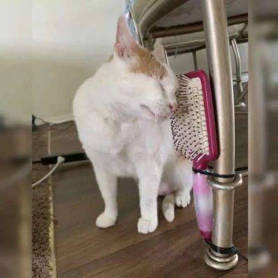 Креативные идеи по многоразовому использованию одноразовых вещей - milayaya.ru