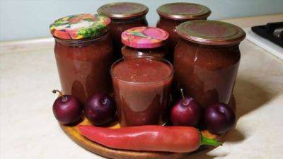 Самый вкусный рецепт ткемали из сливы или алычи на зиму - milayaya.ru