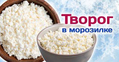 Можно ли хранить творог в морозилке и как долго - nashsovetik.ru