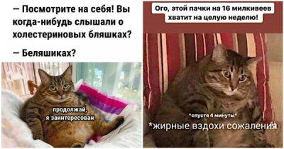 Через четверть века больше половины населения Земли будут с избыточной массой тела - porosenka.net - республика Коми