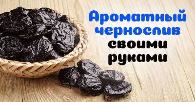 Как сделать чернослив в домашних условиях - nashsovetik.ru
