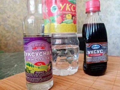 Мало кто знает, но обычный уксус может заменить всю бытовую химию: 12 лайфхаков для идеального порядка - lifehelper.one