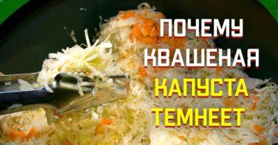 Что делать, чтобы квашеная капуста не темнела - nashsovetik.ru