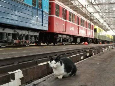 О работе в Московском метро - porosenka.net - республика Коми