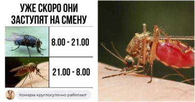 Врачи случайно создали препарат, превращающий человеческую кровь в яд для комаров - porosenka.net