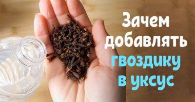 Как сделать средство от насекомых в квартире - nashsovetik.ru
